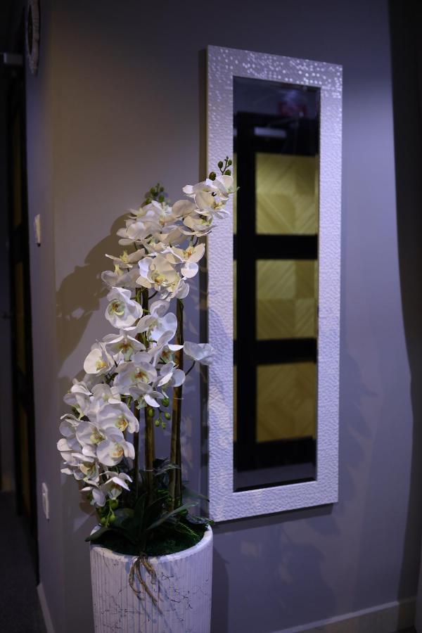 The K Hotel دبي المظهر الخارجي الصورة